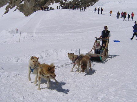 Jungfraujoch Juni 2009